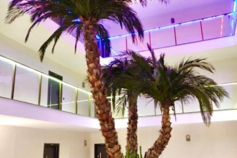 2 bedrooms Apartment in My Thanh, Vietnam No. 13096 6