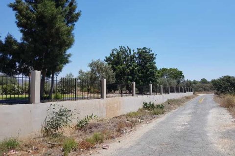 5 chambres Villa à Pentakomo, Cyprus No. 69263 13