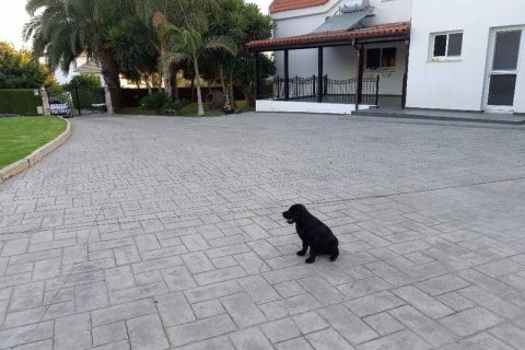 5 chambres Villa à Pentakomo, Cyprus No. 69263 7