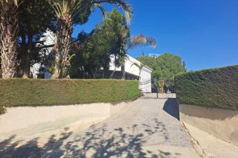 5 chambres Villa à Pentakomo, Cyprus No. 69263 17