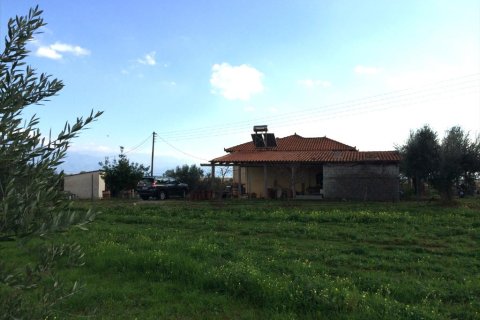 2 bedrooms House in Messenia, Greece No. 58805 4