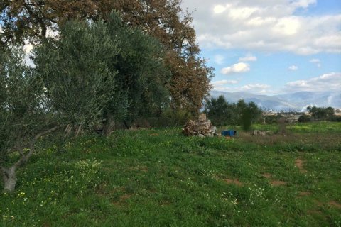 2 bedrooms House in Messenia, Greece No. 58805 17