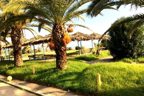 2 bedrooms House in Messenia, Greece No. 58805 1