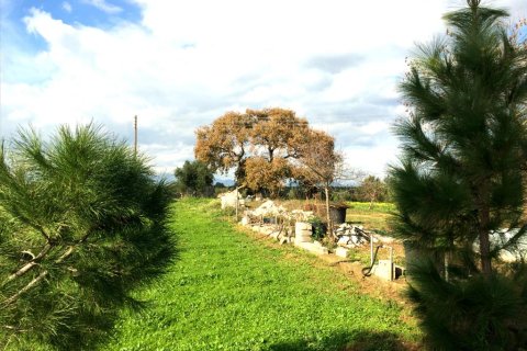 2 bedrooms House in Messenia, Greece No. 58805 2