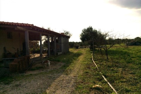 2 bedrooms House in Messenia, Greece No. 58805 15