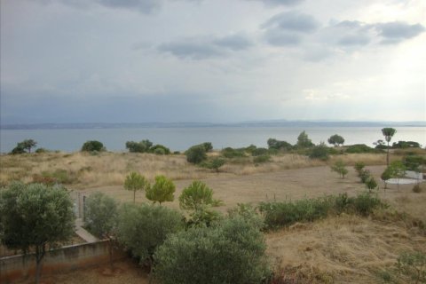 6 chambres House à Euboea, Greece No. 59162 8