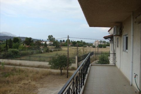 6 chambres House à Euboea, Greece No. 59162 5