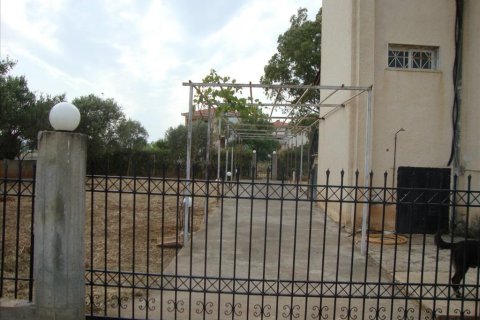 6 chambres House à Euboea, Greece No. 59162 10