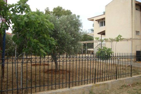 6 chambres House à Euboea, Greece No. 59162 11