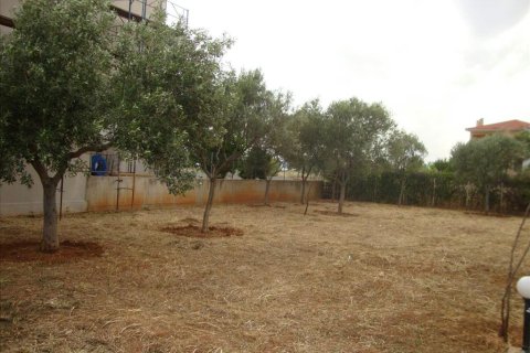 6 chambres House à Euboea, Greece No. 59162 7