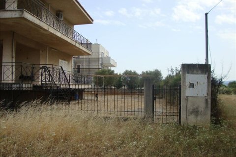 6 chambres House à Euboea, Greece No. 59162 13