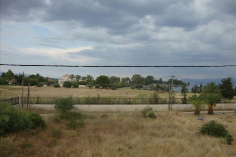 6 chambres House à Euboea, Greece No. 59162 12