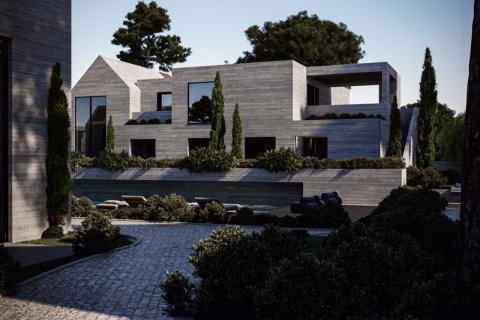 2 chambres Villa à Geroskípou, Cyprus No. 36707 7