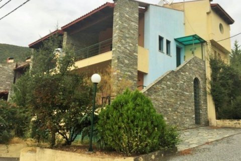4 rooms Business in Pella, Greece No. 56784 3