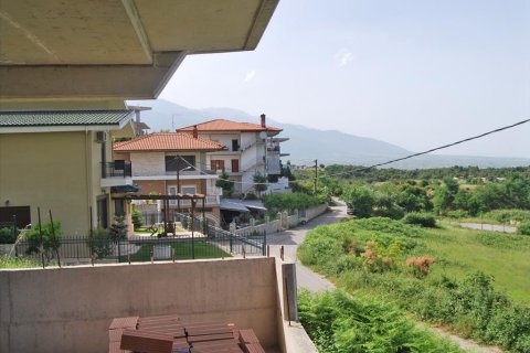 5 rooms Business in Pieria, Greece No. 60557 3