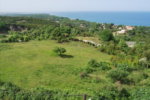 5 rooms Business in Pieria, Greece No. 60557 2