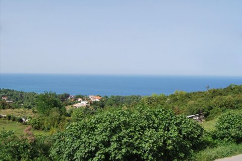 5 rooms Business in Pieria, Greece No. 60557 4