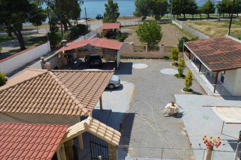 600m² Business in Euboea, Greece No. 60284 14