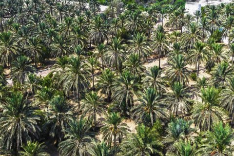 756m² Land à Rayhanah Avenue, Vietnam No. 93317 2