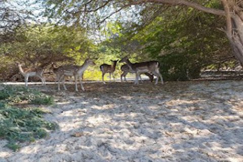 756m² Land à Rayhanah Avenue, Vietnam No. 93317 4