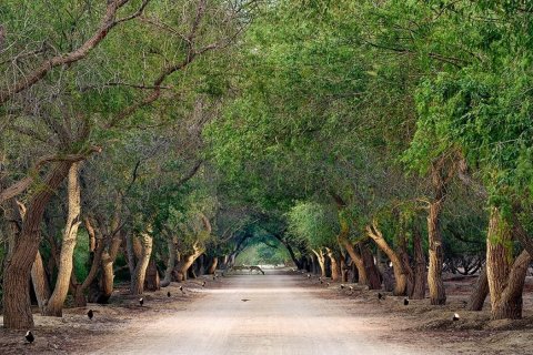 756m² Land à Rayhanah Avenue, Vietnam No. 93317 3