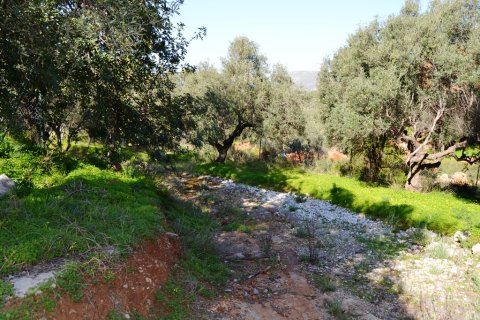 Здание с 6 спальнями в Ираклион, Греция №109602 3