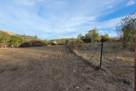 4500m² Land in Chortiatis, Greece No. 108533 15
