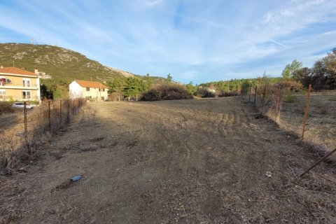 4500m² Land in Chortiatis, Greece No. 108533 13