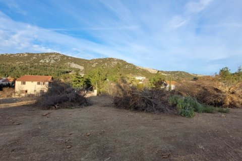 4500m² Land in Chortiatis, Greece No. 108533 1