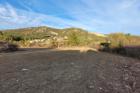 4500m² Land in Chortiatis, Greece No. 108533 4