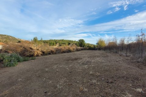 4500m² Land in Chortiatis, Greece No. 108533 3