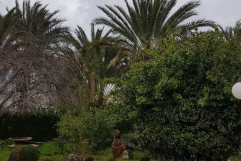 6 dormitorios House en Chloraka, Cyprus No. 83251 15