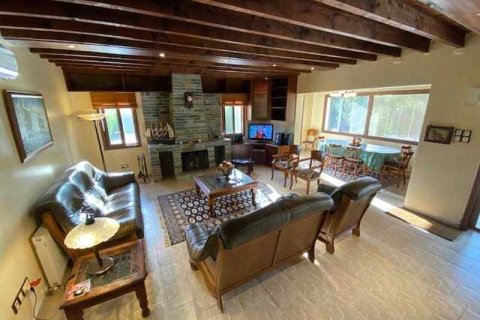 Вилла с 4 спальнями в Писсури, Кипр №30721 9