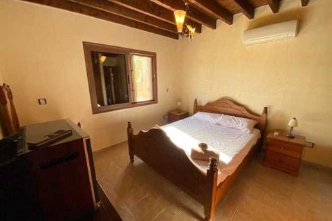 Вилла с 4 спальнями в Писсури, Кипр №30721 13