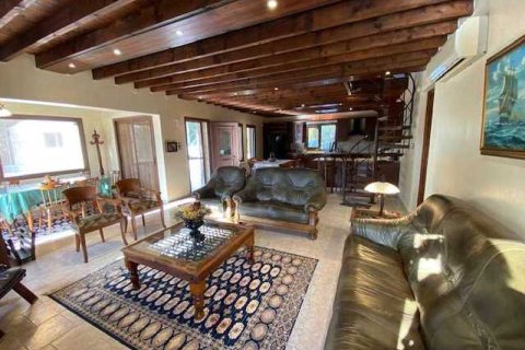 Вилла с 4 спальнями в Писсури, Кипр №30721 7