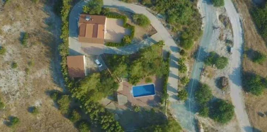 Вилла с 4 спальнями в Писсури, Кипр №30721