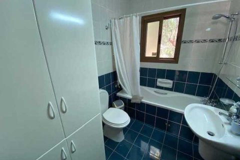 Вилла с 4 спальнями в Писсури, Кипр №30721 15