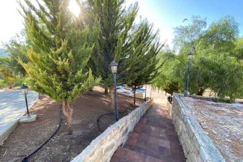 Вилла с 4 спальнями в Писсури, Кипр №30721 4