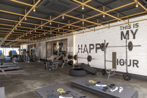 2 chambres Penthouse à Chau Lang, Vietnam No. 75062 27