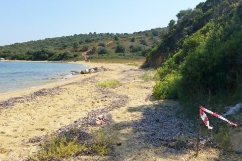 12000m² Land in Chalkidiki, Greece No. 59250 3