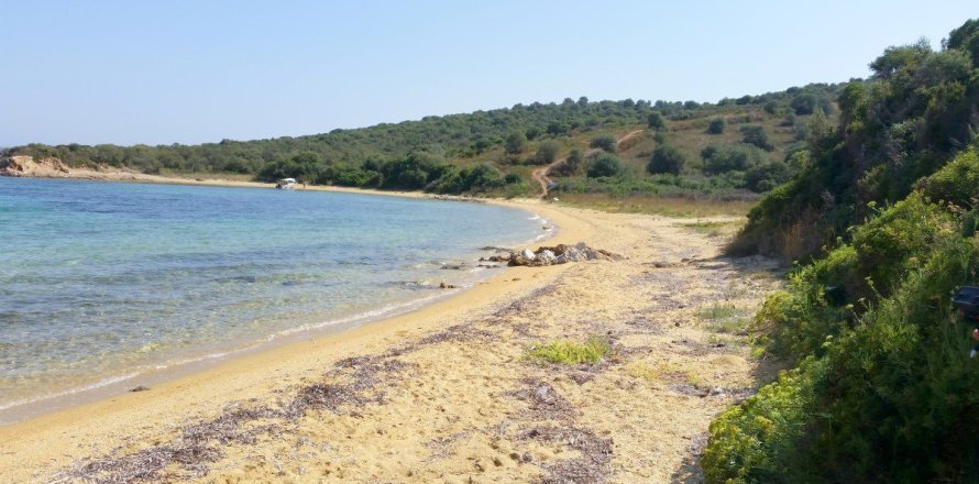 12000m² Land in Chalkidiki, Greece No. 59250