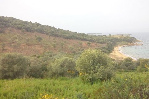 12000m² Land in Chalkidiki, Greece No. 59250 5