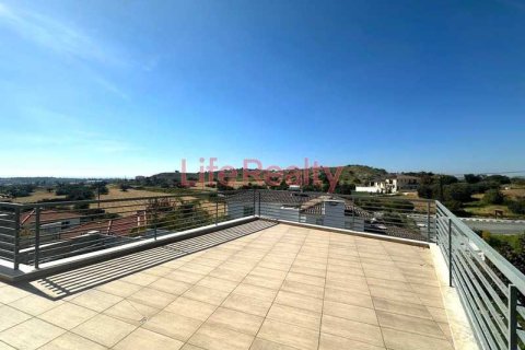 5 bedrooms House in Psematismenos, Cyprus No. 100789 13