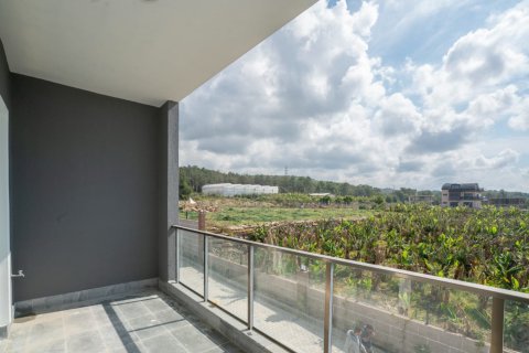 Пентхаус с 4 спальнями в Vinh Thanh, Вьетнам №15384 7