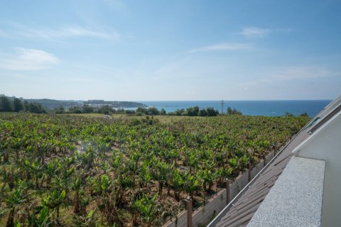 Пентхаус с 4 спальнями в Vinh Thanh, Вьетнам №15384 19