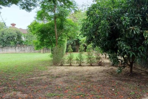 1536m² Land in Chiang Mai, Thailand No. 97996 4