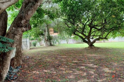 1536m² Land in Chiang Mai, Thailand No. 97996 5