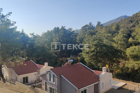 4 bedrooms Villa in Hoang An, Vietnam No. 75792 4