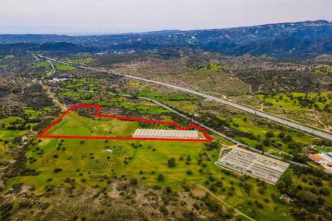 Commercial property in Kornos, Cyprus No. 35470 5