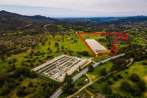 Commercial property in Kornos, Cyprus No. 35470 6